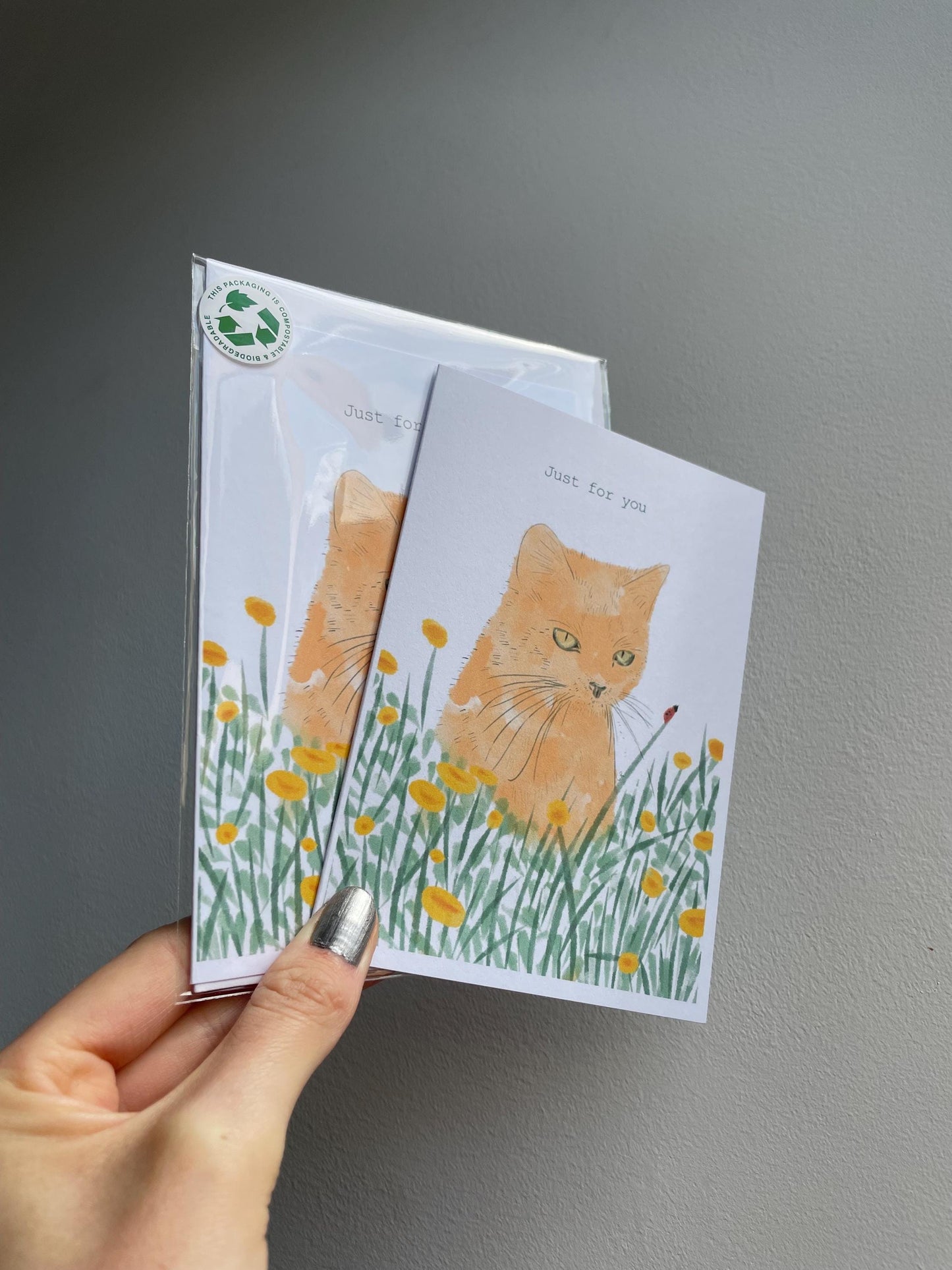 Ginger cat A6 Cards, set of 3: animal lover, Handmade, FAST DELIVERY