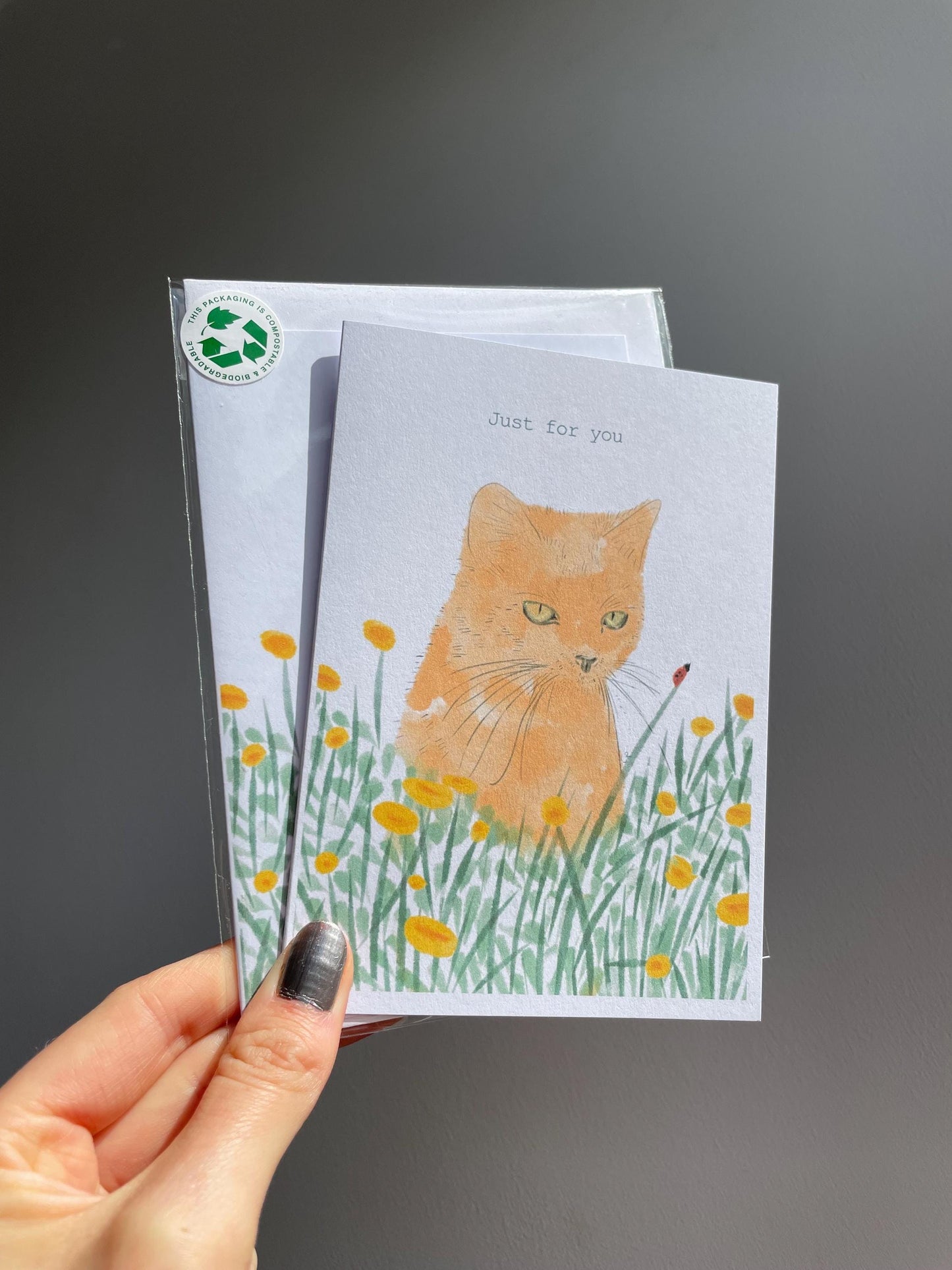 Ginger cat A6 Cards, set of 3: animal lover, Handmade, FAST DELIVERY