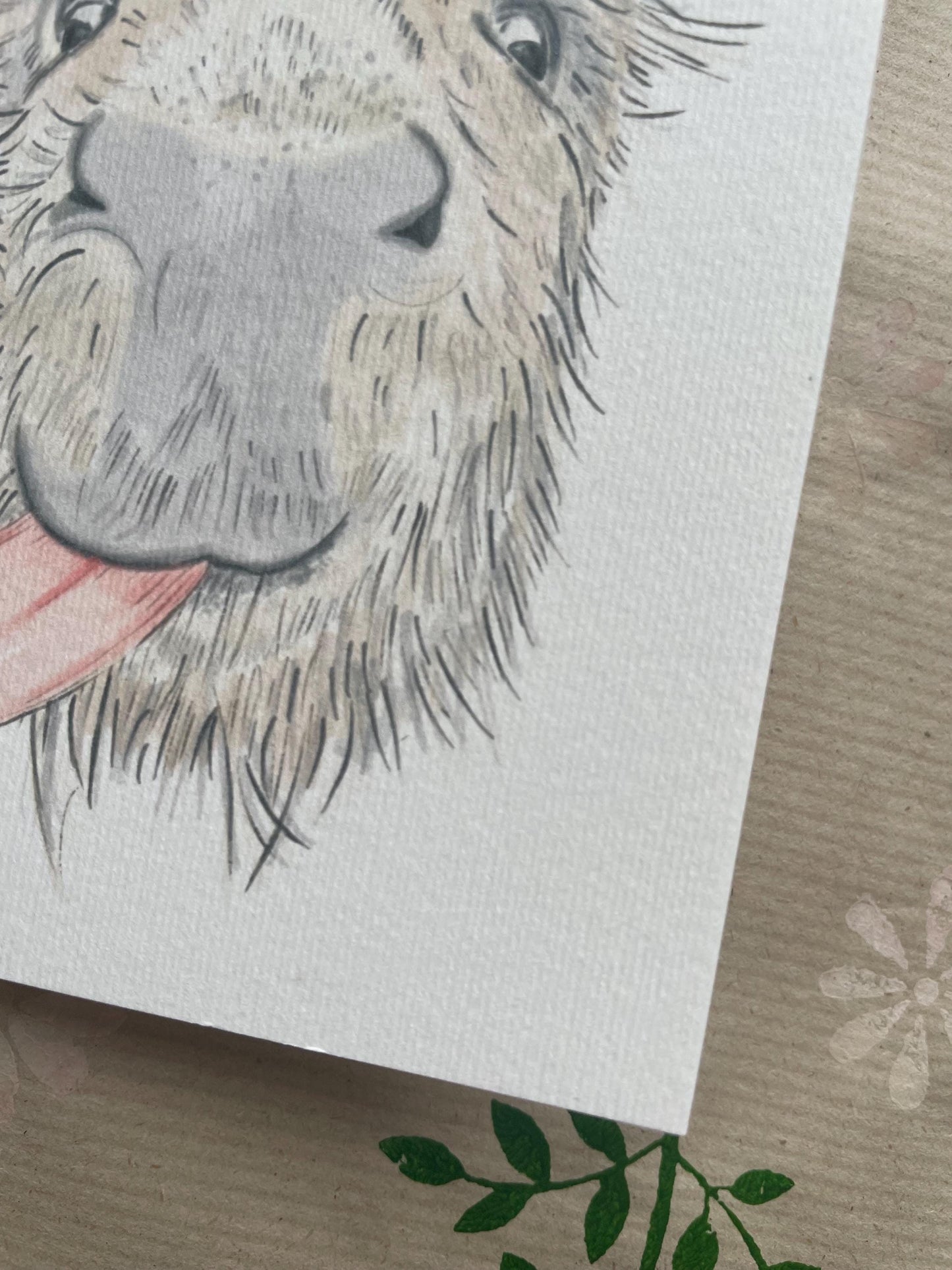 Donkey A6 Cards, pack of x3: Handdrawn, animal lover, great special day, FREE DELIVERY