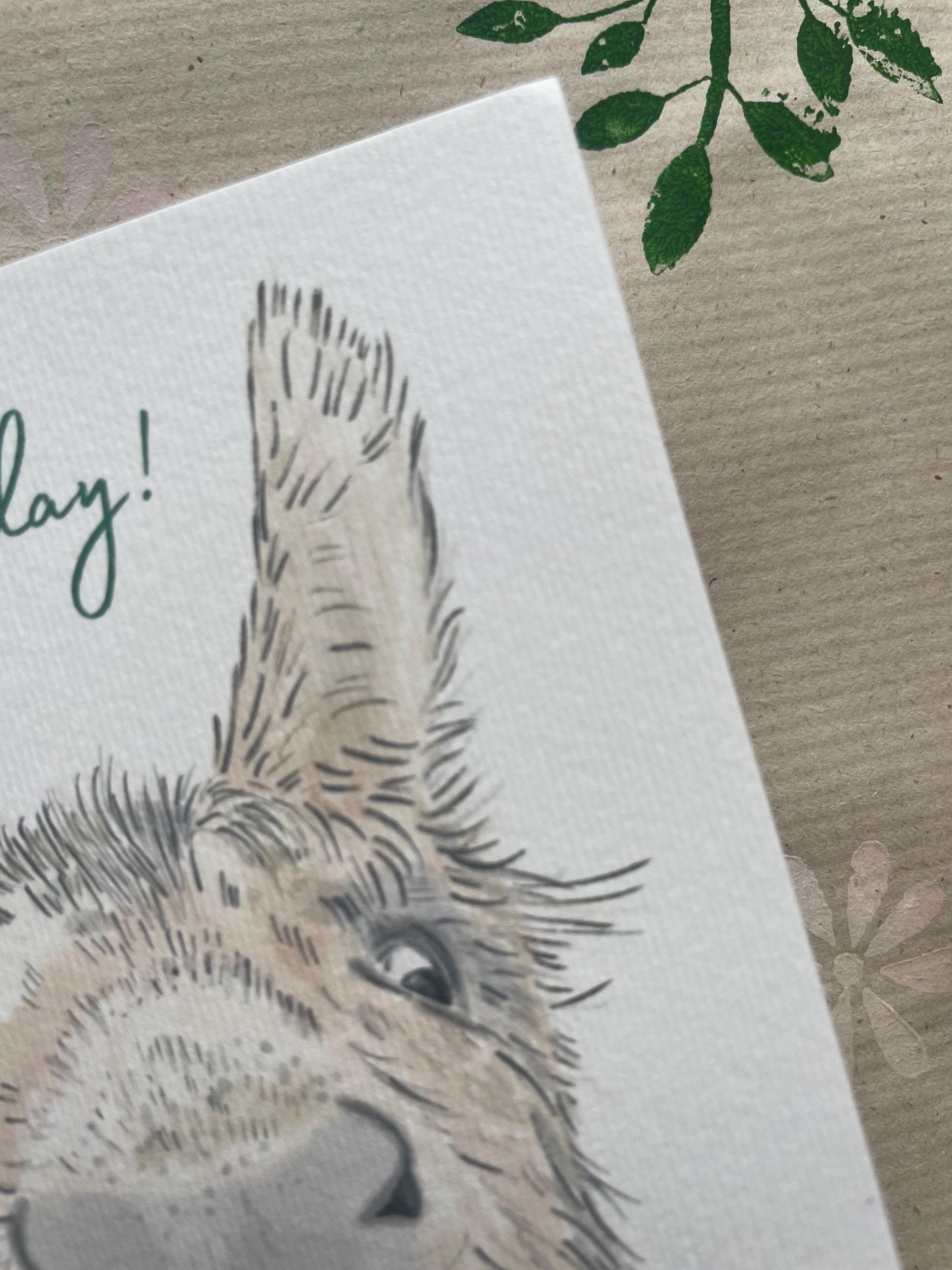 Donkey A6 Cards, pack of x3: Handdrawn, animal lover, great special day, FREE DELIVERY