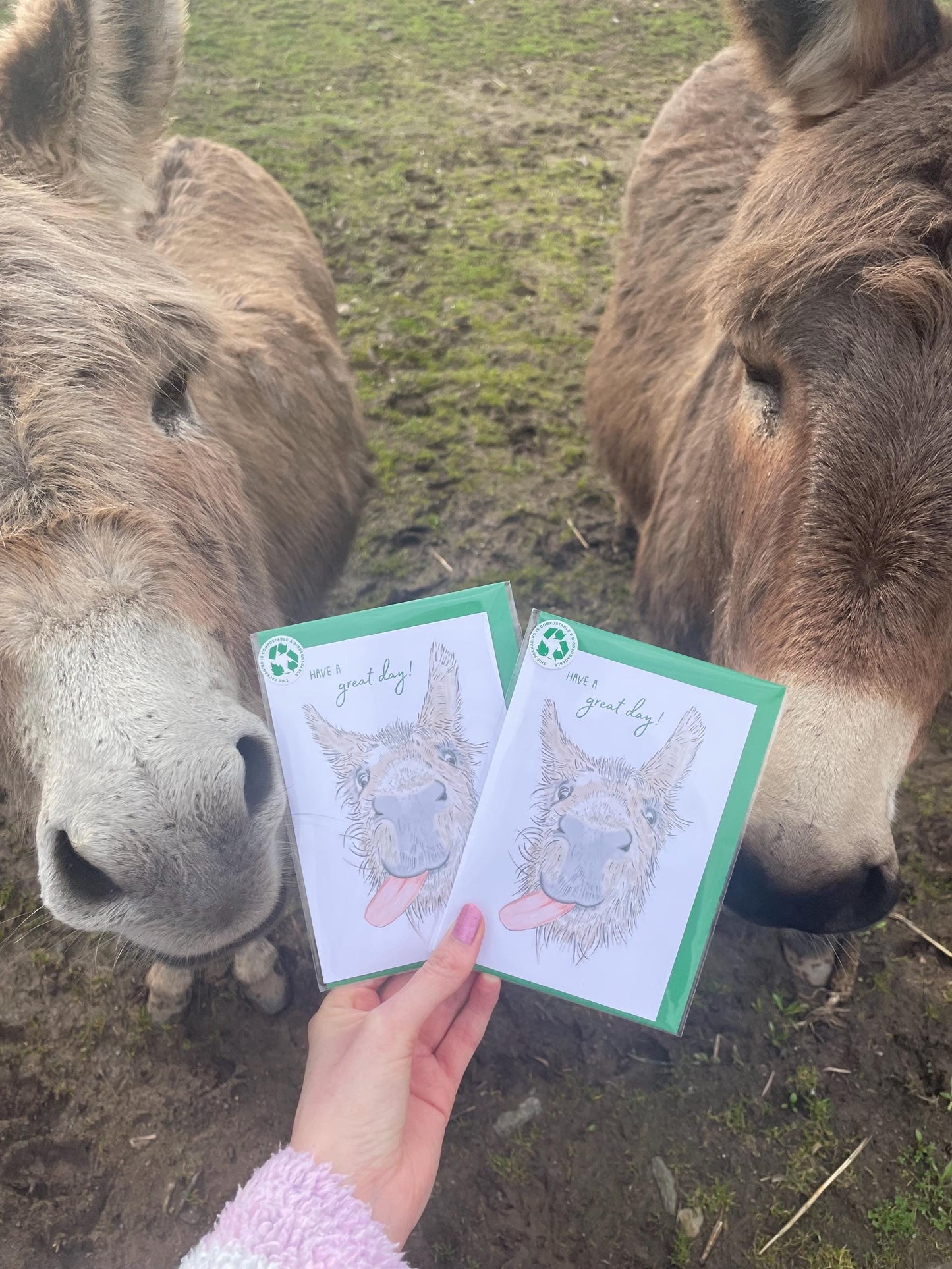 Donkey A6 Cards, pack of x3: Handdrawn, animal lover, great special day, FREE DELIVERY